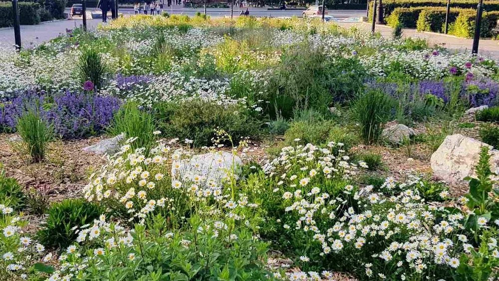 Мэрия ответила на недовольство жителей клумбами в центре Челябинска