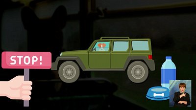 Как готовить животных к путешествию?