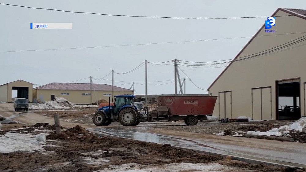 Ветеринара из Чебаркуля будут судить за взятку