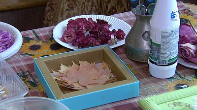 Миасский флорист создаёт картины из сухоцветов