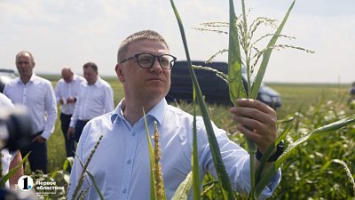 Аграрии Чесменского района показали Алексею Текслеру не боящуюся засухи культуру