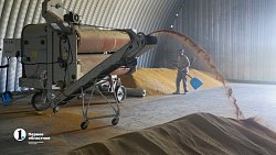 Аграрии Чесменского района показали Алексею Текслеру не боящуюся засухи культуру