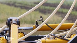 Аграрии Чесменского района показали Алексею Текслеру не боящуюся засухи культуру