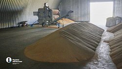 Аграрии Чесменского района показали Алексею Текслеру не боящуюся засухи культуру