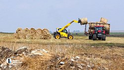 Аграрии Чесменского района показали Алексею Текслеру не боящуюся засухи культуру