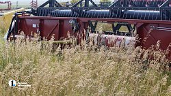 Аграрии Чесменского района показали Алексею Текслеру не боящуюся засухи культуру