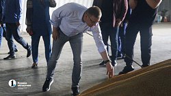 Аграрии Чесменского района показали Алексею Текслеру не боящуюся засухи культуру