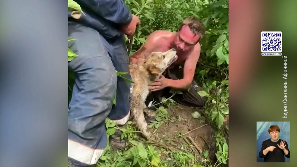 В Магнитогорске очевидцы спасли собаку