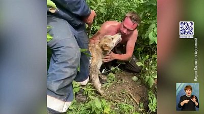 В Магнитогорске очевидцы спасли собаку