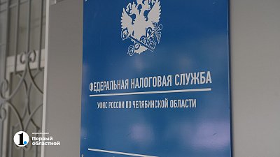 В Челябинской области число самозанятых выросло до 117 тыс. человек