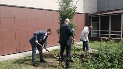 В Челябинске открыли сквер доноров