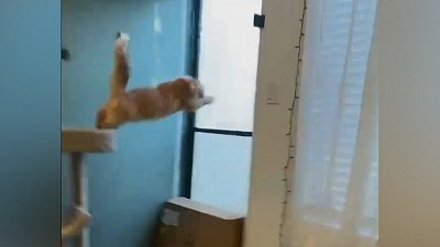 Мех и смех: опасный молоток, тревожная музыка и неудачный побег