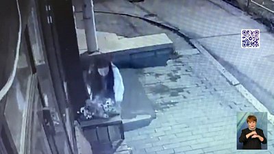 Девушка украла цветы с клумбы