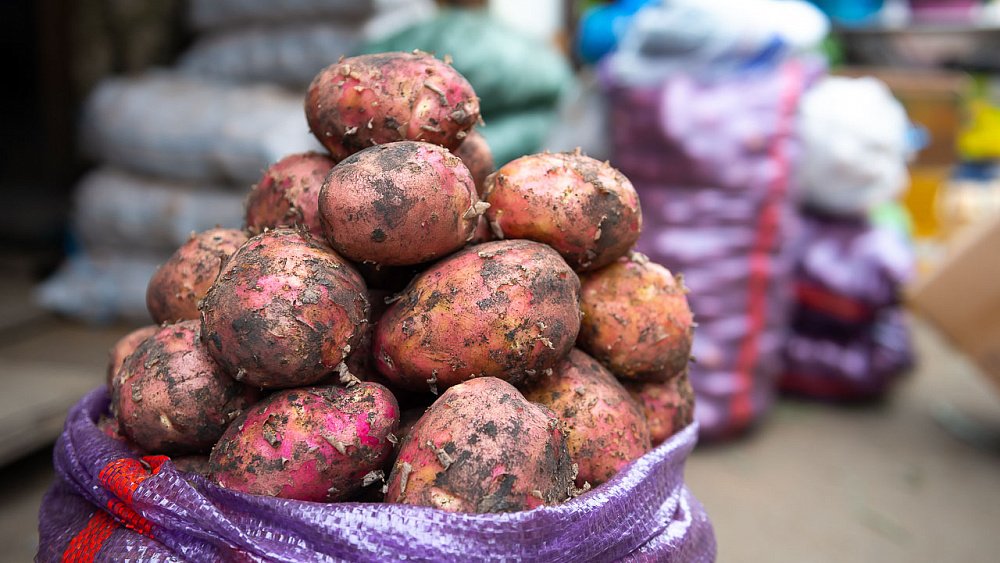 В Челябинской области подешевели картофель и капуста