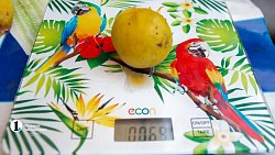 Как получать по 14 ведер урожая абрикосов за сезон