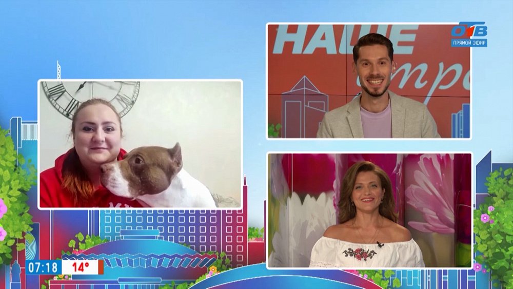 Донор для собак — Гость на связи