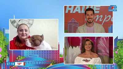 Донор для собак — Гость на связи