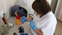 Челябинские врачи провели трансплантацию костного мозга военнослужащему с онкологией