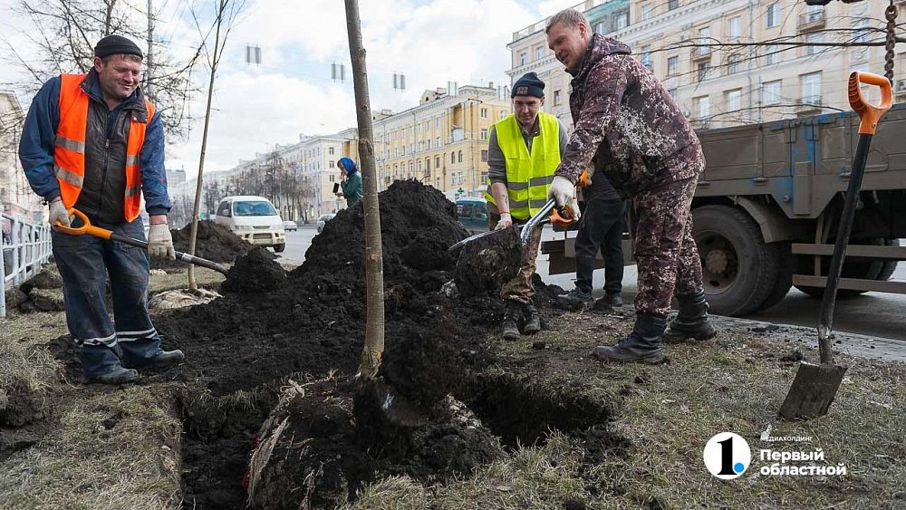 В Челябинске ухаживать за деревьями будут по единому стандарту