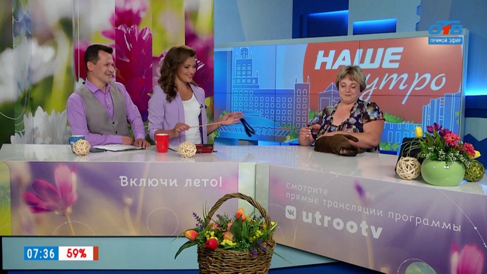 Чем хороши бурманские коты? — Гость в студии