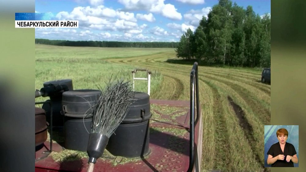 В Чебаркульском районе заготавливают кормовые
