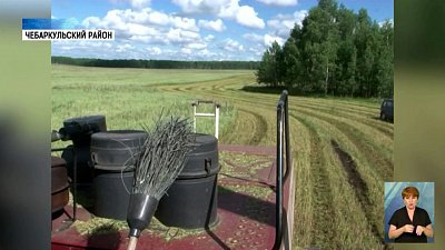 В Чебаркульском районе заготавливают кормовые