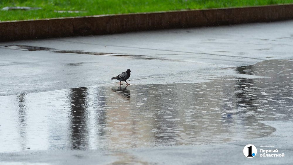 Дожди, грозы и град обещают в Челябинской области