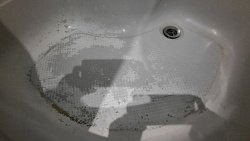 Ад арендодателя, или Как челябинцам сдать квартиру, чтобы не остаться на ее руинах