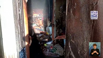 В Златоусте сгорел питомник для собак