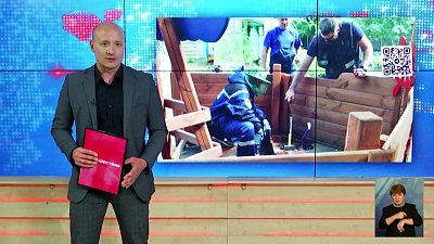 В Челябинске осы свили гнездо в детском саду