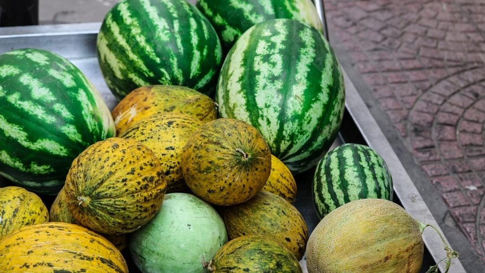 Почему нельзя покупать ранние арбузы и дыни