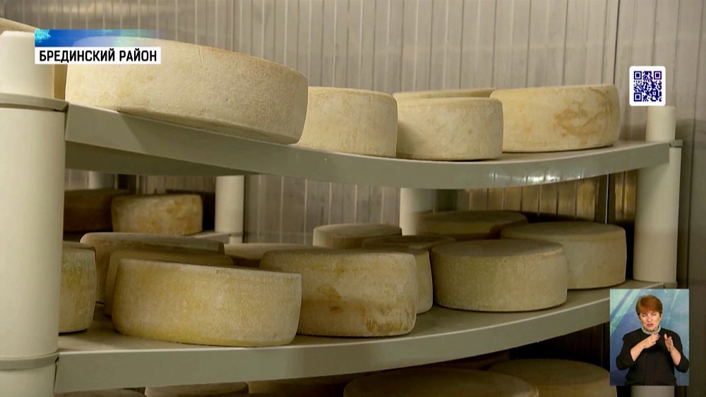 Как в регионе поддерживают сельхозпроизводителей