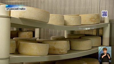 Как в регионе поддерживают сельхозпроизводителей