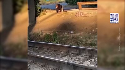 Электричка сбила мужчину в Екатеринбурге