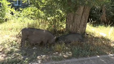 Время новостей. Итоги от 13.08.2022