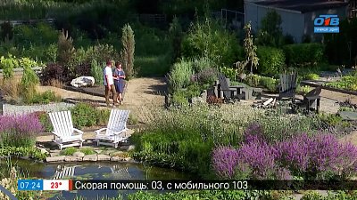 Варианты ландшафтного дизайна в сюжете «Выставочные сады»