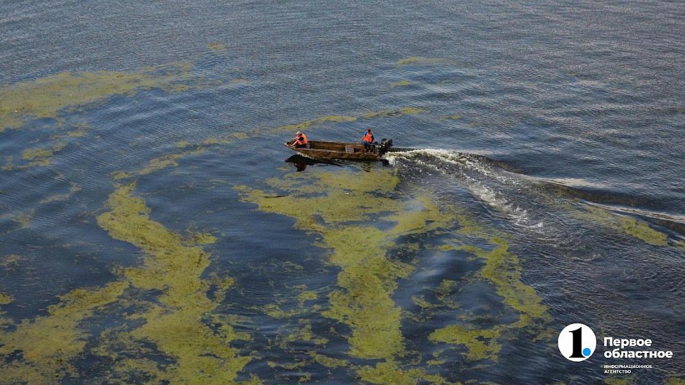 Очистка реки Миасс в Челябинске замедлилась из‑за бурного роста водорослей
