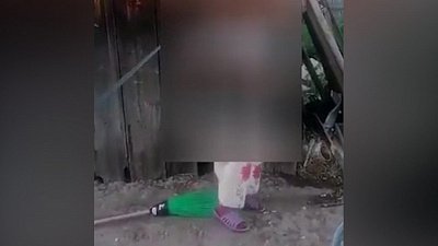 В селе Тюбук нашли похитившего гусей человека