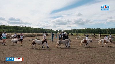 Конная выставка в сюжете «UralHorse-2022»
