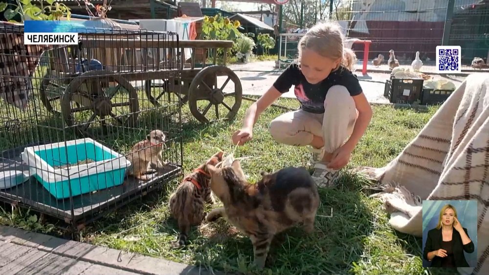 Почему детям нужны домашние животные?