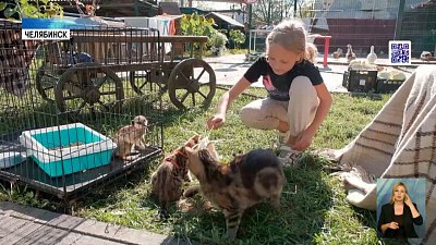 Почему детям нужны домашние животные?