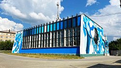 Здание женского волейбольного клуба в Челябинске украсили граффити