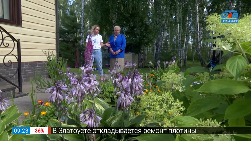 Стильный сад стилиста Натальи Тюниной в рубрике «Пройдёмте в сад»