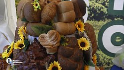 В Челябинске начала работу выставка «Агро-2022»