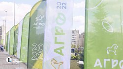 В Челябинске начала работу выставка «Агро-2022»
