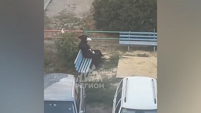 На Урале заметили чумного доктора