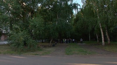 Челябинцы выступили против строительства сквера на улице Смирных