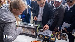 Алексей Текслер поручил Минсельхозу продвинуть местную агропродукцию в торговые сети