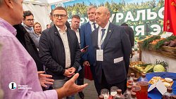 Алексей Текслер поручил Минсельхозу продвинуть местную агропродукцию в торговые сети