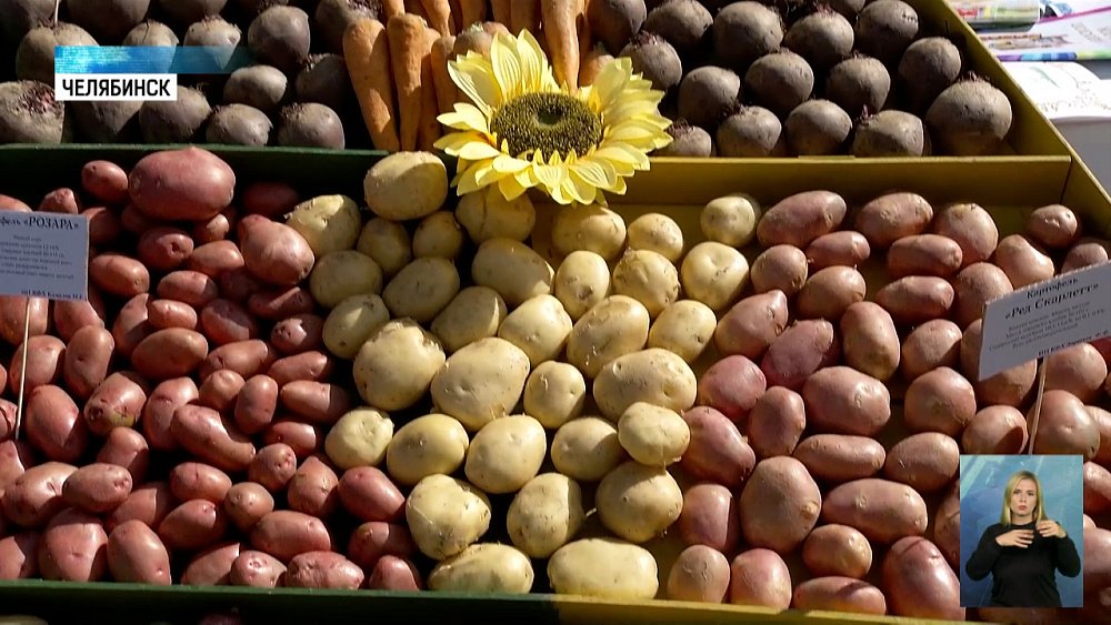 В регионе открылась выставка «Агро-2022»